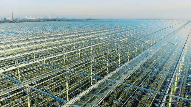 透明的温室，里面有绿色的种植园