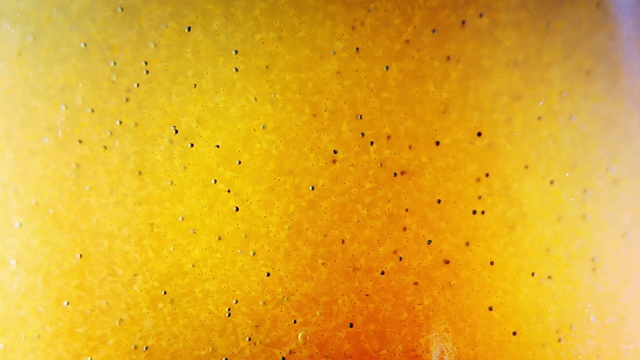 黄水中有小的青蒿幼虫无节体和深色卵