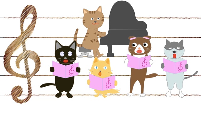 猫音乐会