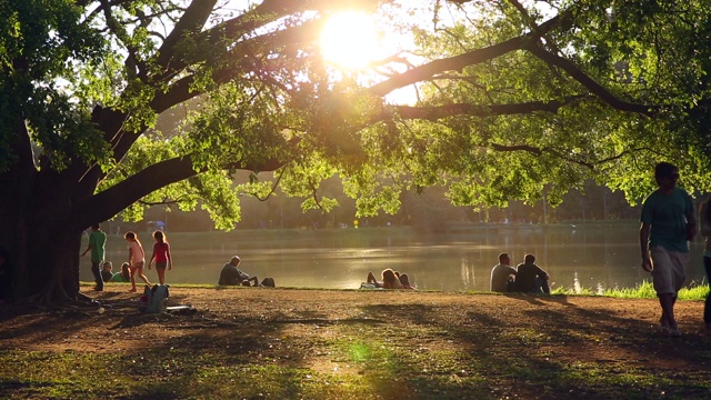 人们在ibirapuera公园享受阳光灿烂的一天