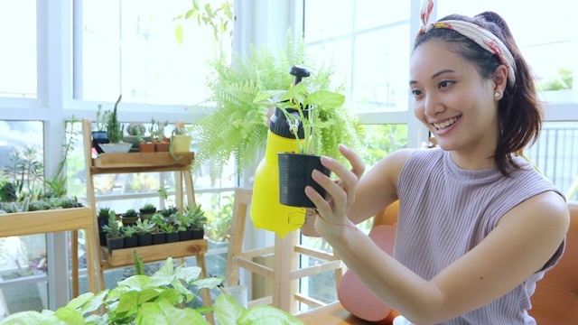 详情图-亚洲妇女园丁在家里的花园里给植物浇水。