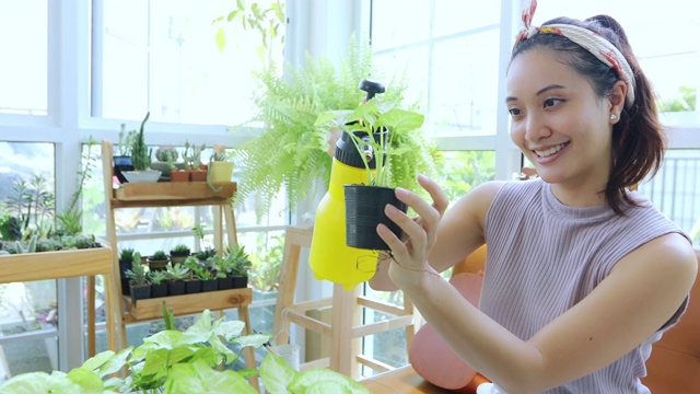 详情图-亚洲妇女园丁在家里的花园里给植物浇水。