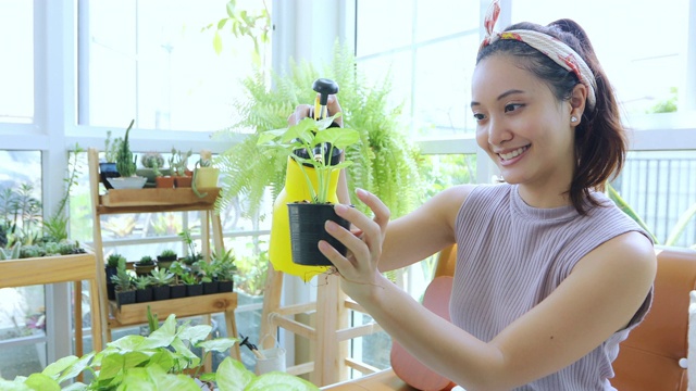 详情图-亚洲妇女园丁在家里的花园里给植物浇水。