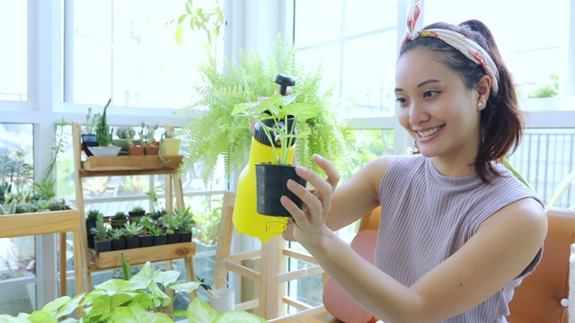 详情图-亚洲妇女园丁在家里的花园里给植物浇水。
