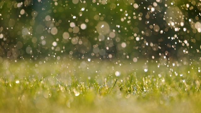 詳情圖-雨落在新鮮的綠草地上