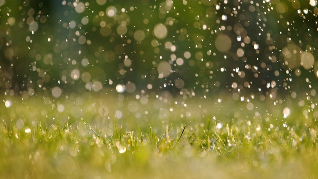 詳情圖-雨落在新鮮的綠草地上