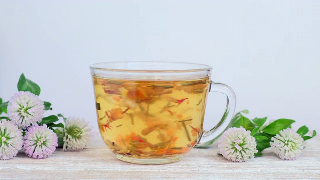 玻璃杯中的草药茶，白色背景上有野花-三叶草花