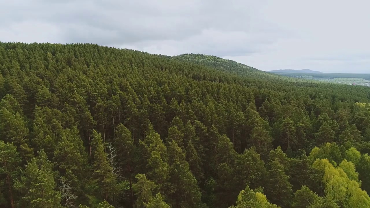 山上美丽的鸟瞰图和山上美丽的松树。