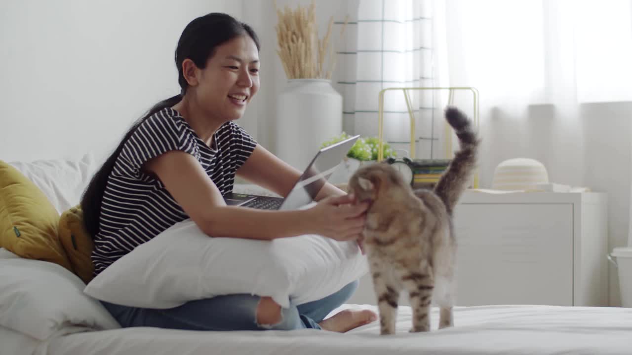 一名亚洲妇女抚摸着一只虎斑猫，同时用笔记本电脑进行在线视频通话。