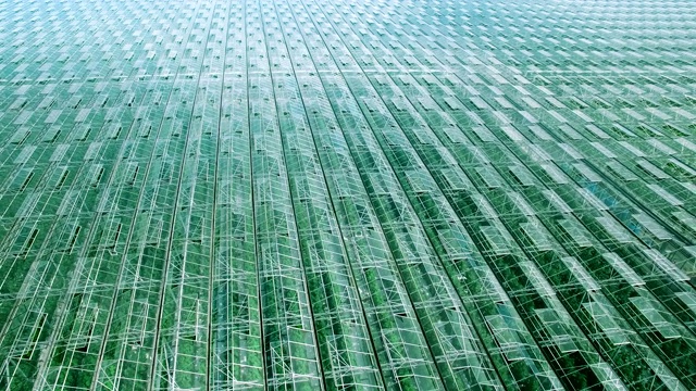 美丽的近距离全景鸟瞰图飞过工业温室与绿色芽，太阳和天空反射在干净的玻璃。产品纯天然纯清
