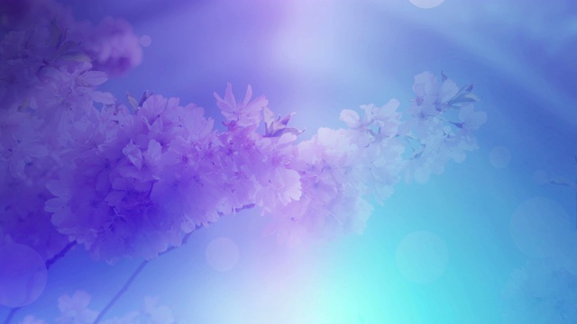 詳情圖-發(fā)光和多彩的花卉設(shè)計(jì)