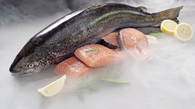 詳情圖-4K超高清:鮭魚及其魚片在黑色背景和冰凍的冰煙。新鮮豪華海鮮和菜單食譜零售市場概念。