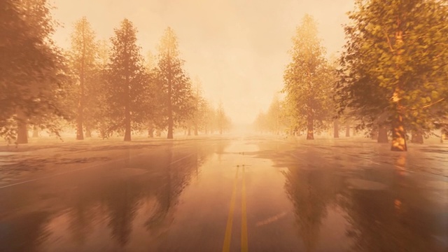 詳情圖-雨后路鄉(xiāng)村風(fēng)景。秋天的風(fēng)景。4,k