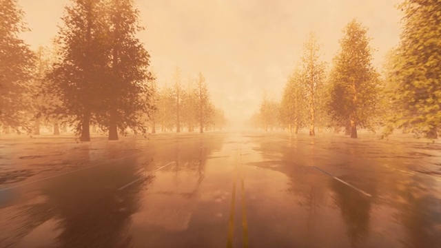 詳情圖-雨后路鄉(xiāng)村風(fēng)景。秋天的風(fēng)景。4,k