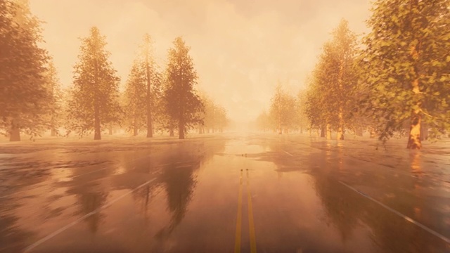 詳情圖-雨后路鄉(xiāng)村風(fēng)景。秋天的風(fēng)景。4,k