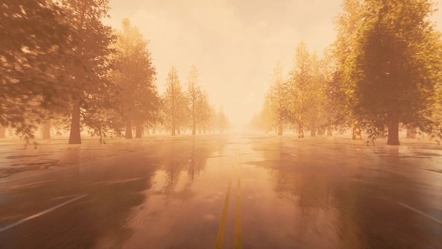 詳情圖-雨后路鄉(xiāng)村風(fēng)景。秋天的風(fēng)景。4,k