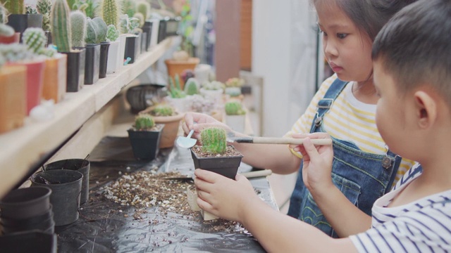 詳情圖-亞洲的小朋友們在自家的小仙人掌花園里愉快地種植小仙人掌。