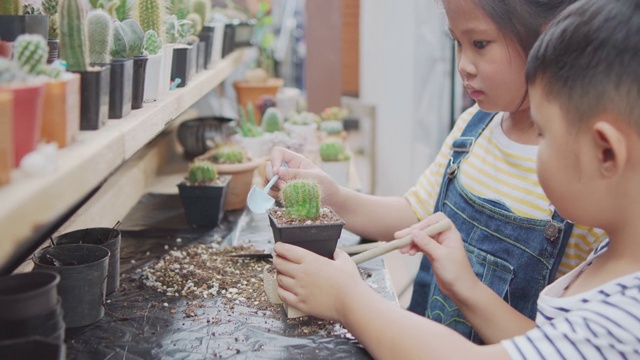 詳情圖-亞洲的小朋友們在自家的小仙人掌花園里愉快地種植小仙人掌。