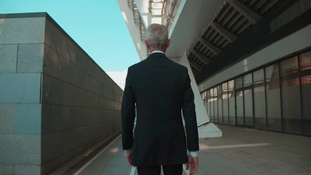 穿着正装的商业领袖走在办公室附近，职业目标，动力