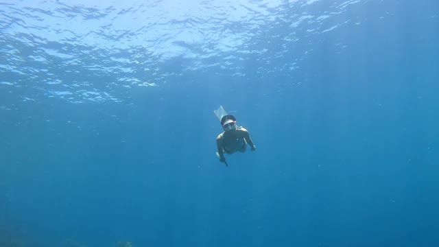 4K自由潜水长鳍海豚踢腿风格在大海的清澈的水后面的空气泡沫