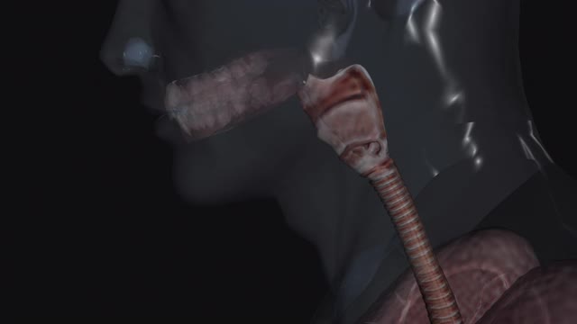 喉嚨感染