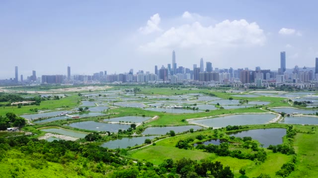 詳情圖-在香港和中國深圳之間的鄉(xiāng)村綠地和魚塘
