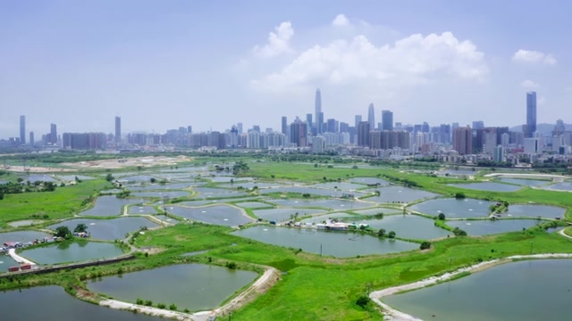 詳情圖-在香港和中國深圳之間的鄉(xiāng)村綠地和魚塘