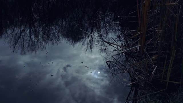湖面上月亮的倒影