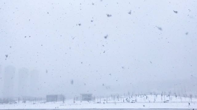 暴风雪来了。在暴风雪中几乎看不到房屋和人行横道