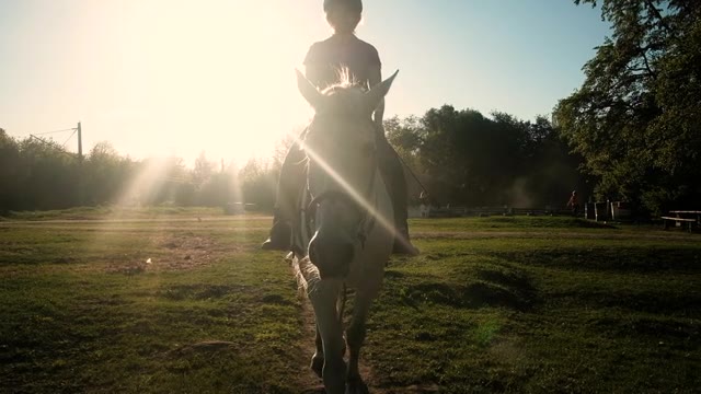 詳情圖-女騎手騎著一匹優(yōu)雅的馬在賽馬場(chǎng)上，掌握著一匹棕色種馬的動(dòng)機(jī)。穿著黑色衣服和頭盔的職業(yè)騎師在戶外度過一個(gè)夏天。在日落