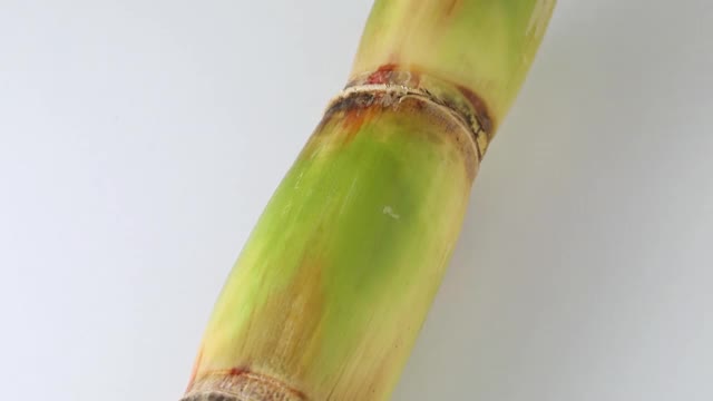 把新鲜的甘蔗切成片