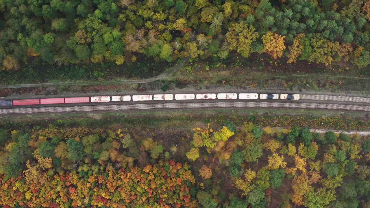 詳情圖-貨運(yùn)列車在美麗的秋季森林中穿行的鳥瞰圖。