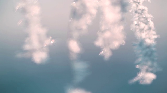 詳情圖-冬季森林中被雪覆蓋的植物。