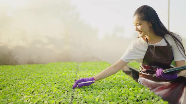 亚洲妇女正在用药片检查身体状况。