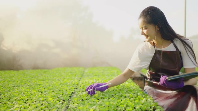 詳情圖-亞洲婦女正在用藥片檢查身體狀況。