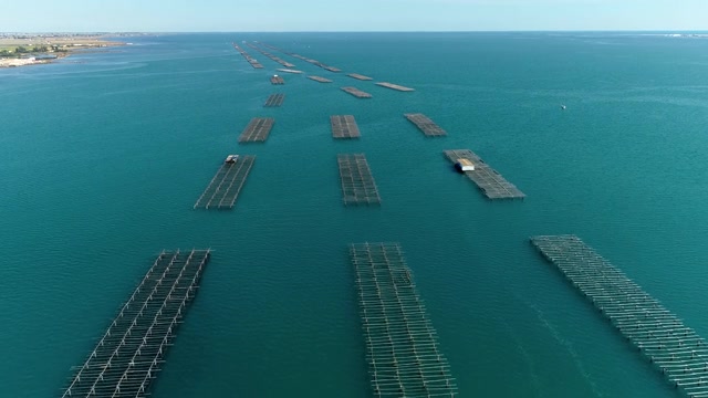 詳情圖-西班牙海岸附近的牡蠣養(yǎng)殖場上空的無人機鳥瞰圖。我們可以在4K的地平線上看到地中海
