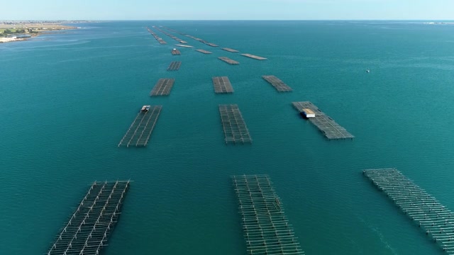 詳情圖-西班牙海岸附近的牡蠣養(yǎng)殖場上空的無人機鳥瞰圖。我們可以在4K的地平線上看到地中海