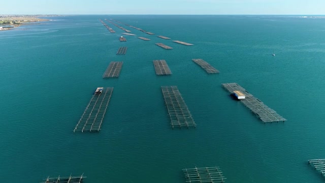 詳情圖-西班牙海岸附近的牡蠣養(yǎng)殖場上空的無人機鳥瞰圖。我們可以在4K的地平線上看到地中海