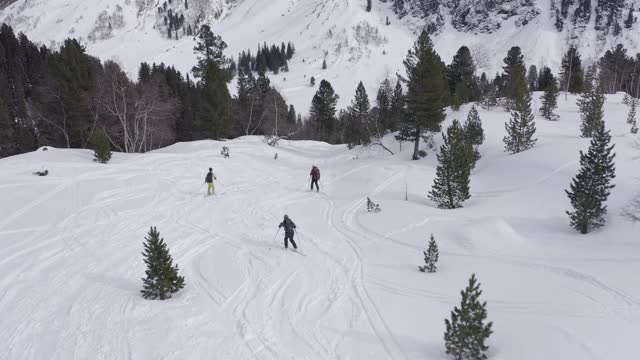 三个滑雪者穿过奥地利阿尔卑斯山的森林从山上下来