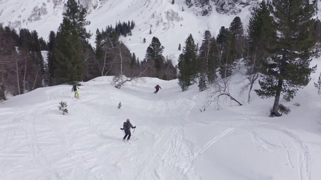详情图-三个滑雪者穿过奥地利阿尔卑斯山的森林从山上下来