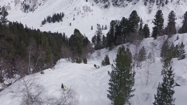 详情图-三个滑雪者穿过奥地利阿尔卑斯山的森林从山上下来