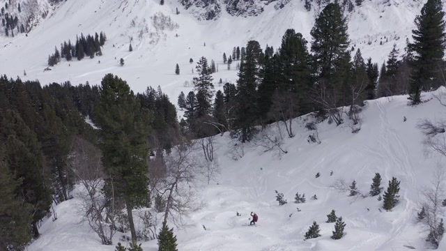 详情图-三个滑雪者穿过奥地利阿尔卑斯山的森林从山上下来