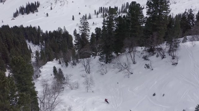 详情图-三个滑雪者穿过奥地利阿尔卑斯山的森林从山上下来