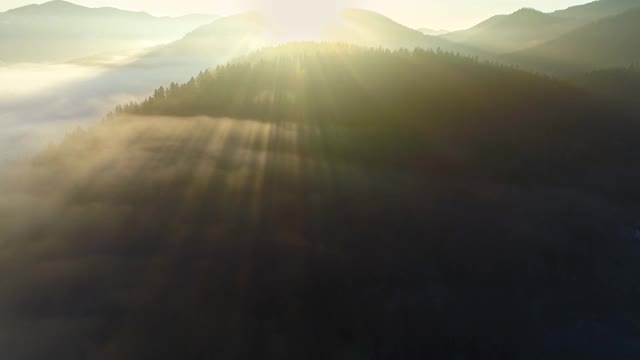 令人屏息的日出在山上。太阳从山后升起，照亮了雾气笼罩的树木。阳光穿过山顶的树林。空中射击,4 k