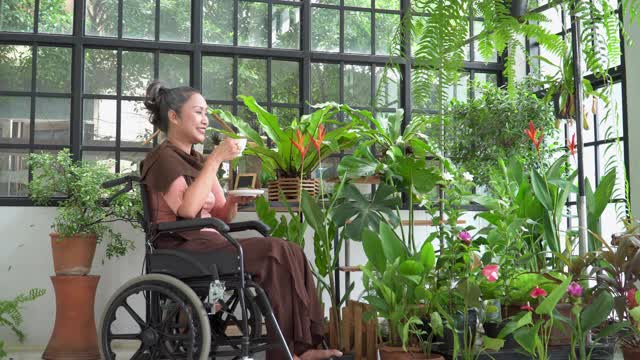 侧观美丽的残疾人成熟的妻子坐在轮椅上的女人带着幸福，微笑着看一朵花带着放松从喝一杯茶。退休后，她是一名环保主义者，业余爱好在花房种花。