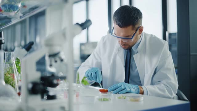 穿着安全眼镜的英俊男性微生物学家，用镊子检查西红柿的种子腔，并将样本放入盘中。在现代食品科学实验室工作的医学科学家。