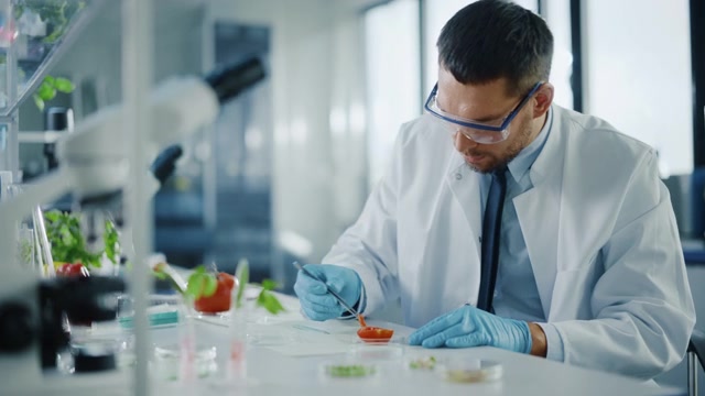 詳情圖-穿著安全眼鏡的英俊男性微生物學(xué)家，用鑷子檢查西紅柿的種子腔，并將樣本放入盤中。在現(xiàn)代食品科學(xué)實驗室工作的醫(yī)學(xué)科學(xué)家。