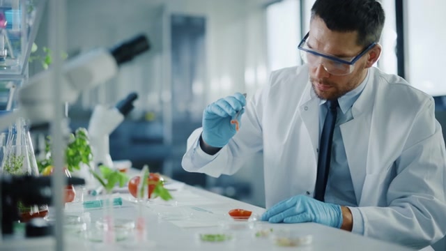 詳情圖-穿著安全眼鏡的英俊男性微生物學(xué)家，用鑷子檢查西紅柿的種子腔，并將樣本放入盤中。在現(xiàn)代食品科學(xué)實驗室工作的醫(yī)學(xué)科學(xué)家。