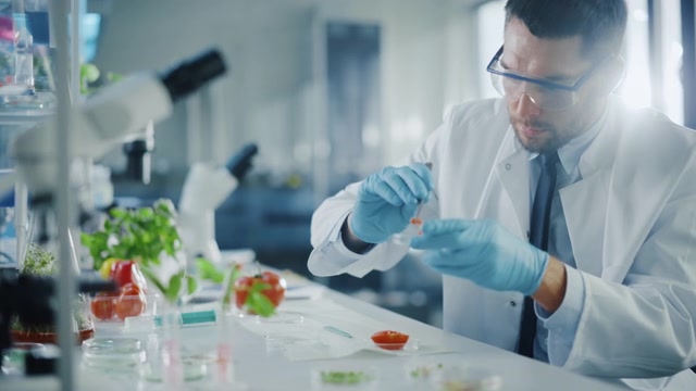 詳情圖-穿著安全眼鏡的英俊男性微生物學(xué)家，用鑷子檢查西紅柿的種子腔，并將樣本放入盤中。在現(xiàn)代食品科學(xué)實驗室工作的醫(yī)學(xué)科學(xué)家。