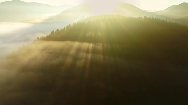 令人屏息的日出在山上。太阳从山后升起，照亮了雾气笼罩的树木。阳光穿过山顶的树林。空中射击,4 k